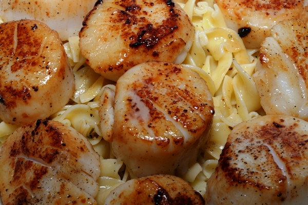 A bowl of egg noodles with jumbo sea scallops